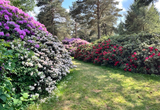 23-06-03 16-34-52 5782